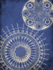 Coastal Indigo Pattern Poster Print by Jace Grey