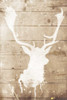 Deer Drip Mate Poster Print by Jace Grey - Item # VARPDXJGRC527B