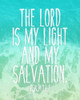 My Light Poster Print by Jace Grey - Item # VARPDXJGRC542A