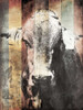 Miultiwood Vintage Cow Poster Print by Jace Grey - Item # VARPDXJGRC545A