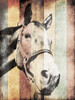 Miultiwood Vintage Horse Poster Print by Jace Grey - Item # VARPDXJGRC545C
