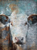 Cow Scales Poster Print by Jace Grey - Item # VARPDXJGRC558B