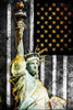 Statue Of Real America Poster Print by Jace Grey - Item # VARPDXJGRC561A3