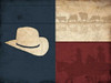Texas Hat Poster Print by Jace Grey - Item # VARPDXJGRC590A