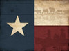 Texas Flag Poster Print by Jace Grey - Item # VARPDXJGRC590A2