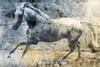 Washed Out Horse Poster Print by Jace Grey - Item # VARPDXJGRC611A