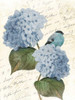 Bird Mail Two Poster Print by Jace Grey - Item # VARPDXJGRC614B