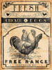 Chicken Eggs Poster Print by Jace Grey - Item # VARPDXJGRC634A