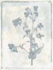 Sky Floral Cleaner Poster Print by Jace Grey - Item # VARPDXJGRC659A