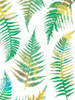 Bright Ferns Poster Print by Jace Grey - Item # VARPDXJGRC726A