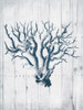 Coral White Wood Mate Poster Print by Jace Grey - Item # VARPDXJGRC732B