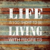 Life Poster Print by Jace Grey - Item # VARPDXJGSQ032F