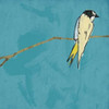 Birds on branch Poster Print by Jace Grey - Item # VARPDXJGSQ048H