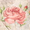 flowers Poster Print by Jace Grey