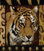 Tiger bordered Poster Print by Jace Grey - Item # VARPDXJGSQ112B2