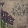 Floral outline1 Poster Print by Jace Grey