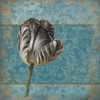 Single flower 2 Poster Print by Jace Grey