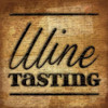 Wine Tasting C2 Poster Print by Jace Grey - Item # VARPDXJGSQ156C2