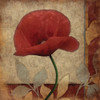 Poppies Patch Poster Print by Jace Grey