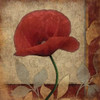 Poppies Patch Poster Print by Jace Grey
