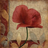 Poppies Patch Poster Print by Jace Grey - Item # VARPDXJGSQ210B