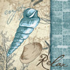 Relax Shell Poster Print by Jace Grey - Item # VARPDXJGSQ221D