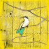 Yellow  Hue Bird 2 Poster Print by Jace Grey - Item # VARPDXJGSQ313B