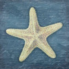 Star Fish Light Blue Poster Print by Jace Grey - Item # VARPDXJGSQ327A2