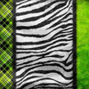 Lime Zebra Plaid Poster Print by Jace Grey - Item # VARPDXJGSQ338B