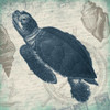 Turtle Poster Print by Jace Grey - Item # VARPDXJGSQ359A