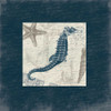 Seahorse Bordered Poster Print by Jace Grey - Item # VARPDXJGSQ359B2