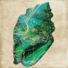Map Shell Poster Print by Jace Grey