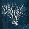 Wood Coral five Poster Print by Jace Grey - Item # VARPDXJGSQ496E