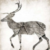 Wood Deer Mate Poster Print by Jace Grey - Item # VARPDXJGSQ583D