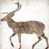 Brown Wood Deer Mate Poster Print by Jace Grey - Item # VARPDXJGSQ583D2
