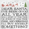Dear Santa Nevermind clean Poster Print by Jace Grey - Item # VARPDXJGSQ609A2