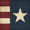 Star And Stripes Poster Print by Jace Grey - Item # VARPDXJGSQ619A