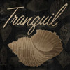 Tranquil Shell Poster Print by Jace Grey - Item # VARPDXJGSQ657A