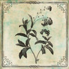 Bordered Stencil Floral Poster Print by Jace Grey - Item # VARPDXJGSQ782A