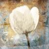 Golden White Blues Mate Poster Print by Jace Grey - Item # VARPDXJGSQ836B