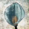 Hazy Grey Blue Poster Print by Jace Grey - Item # VARPDXJGSQ837A