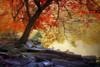 Under the Maple Poster Print by Jessica Jenney - Item # VARPDXJJ134A