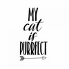 My Cat Poster Print by Matic,Jelena Matic - Item # VARPDXJMSQ104A