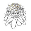To the Dandelion I Poster Print by Asia Jensen - Item # VARPDXJN335A