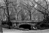 Central Park Bridge 2 Poster Print by Jace Grey - Item # VARPDXJPIRC013D