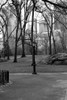 Central Park Image 062 Poster Print by Jace Grey - Item # VARPDXJPIRC024C