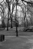 Central Park Image 062 Poster Print by Jace Grey - Item # VARPDXJPIRC024C