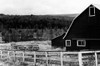 Rancher 2 Poster Print by Jeff Pica - Item # VARPDXJPIRC043A1