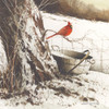 Country Cardinal Poster Print by John Rossini - Item # VARPDXJR138