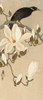 Myna on Magnolia Branch, 1900-1910 Poster Print by Ohara Koson - Item # VARPDXK2723D
